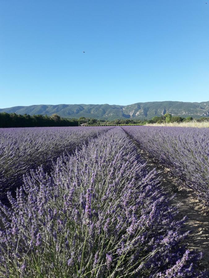Gite Le Bagnol Un Coin De Paradis Maubec  Buitenkant foto